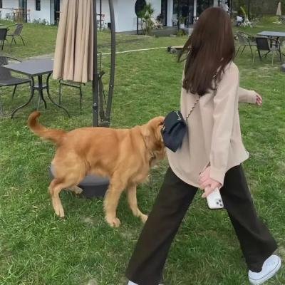 安娜贝尔2：诞生